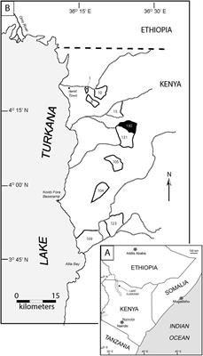 Temporal and Stratigraphic Framework for Paleoanthropology Sites Within East-Central Area 130, Koobi Fora, Kenya